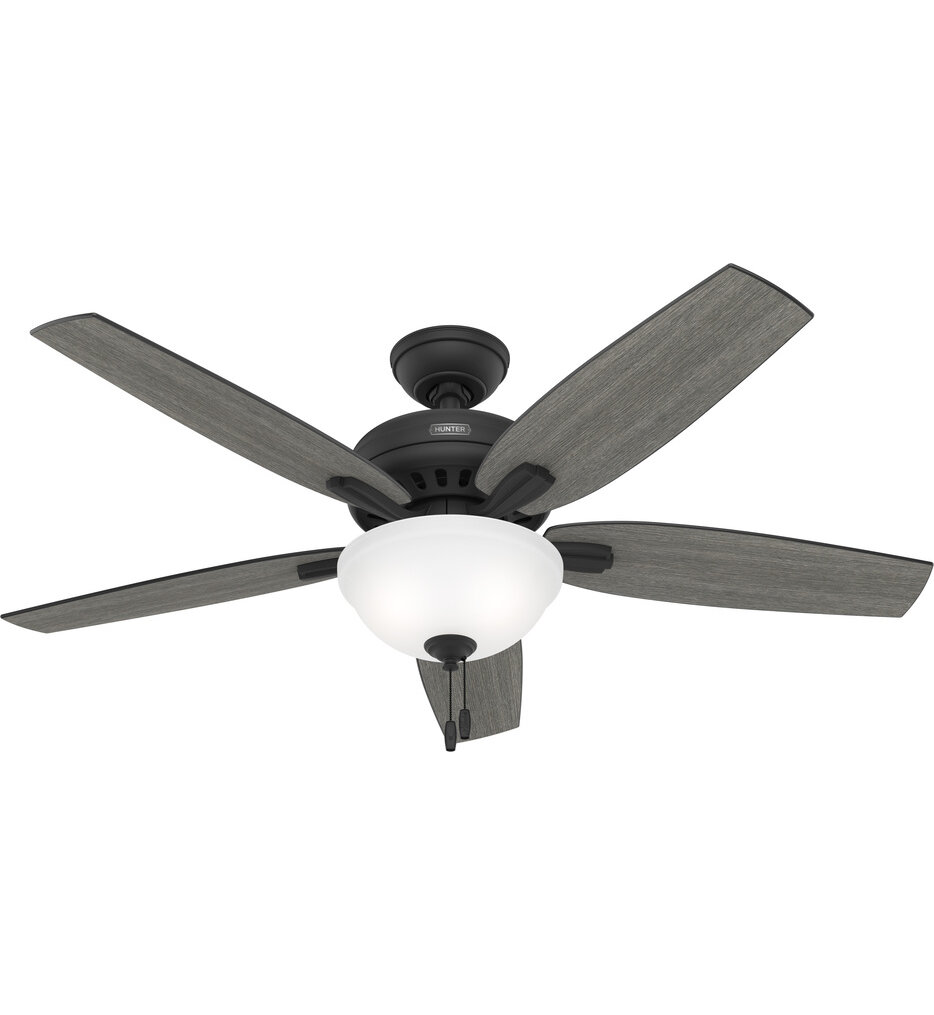 Newsome Ceiling Fan