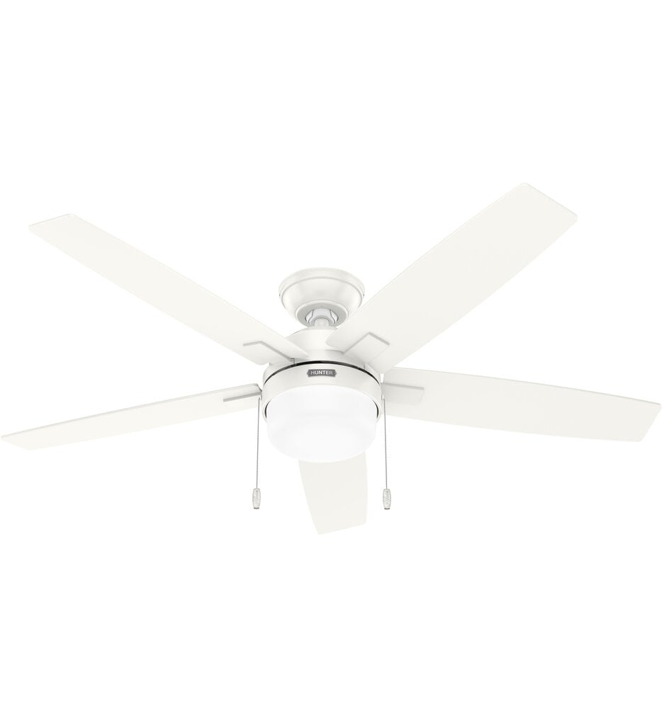 Anisten Ceiling Fan