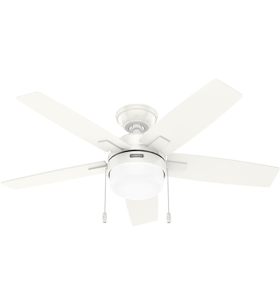 Anisten Ceiling Fan