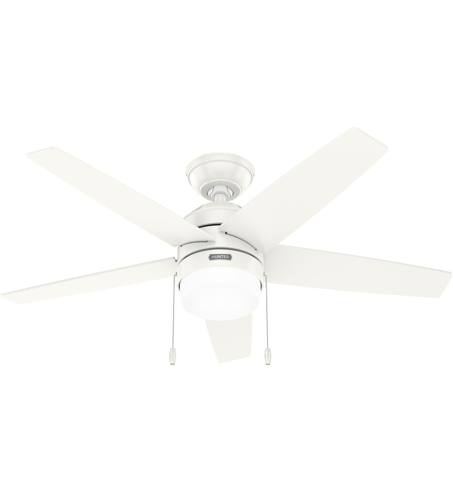 Hunter - Bardot Ceiling Fan