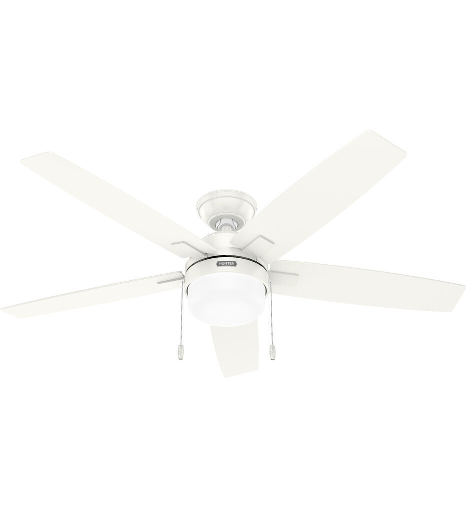 Anisten Ceiling Fan