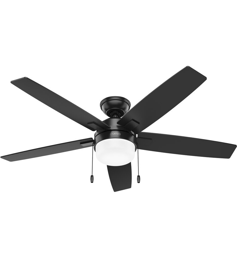Anisten Ceiling Fan