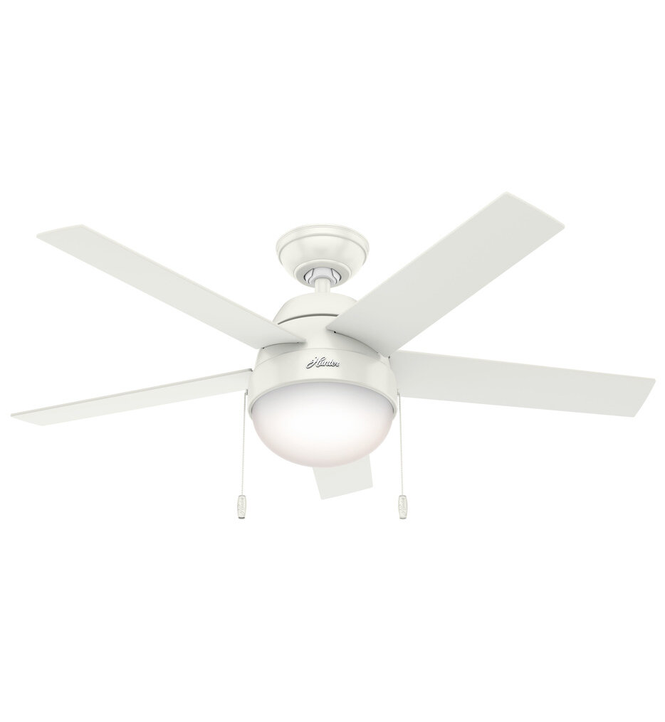 Hunter - Anslee Ceiling Fan