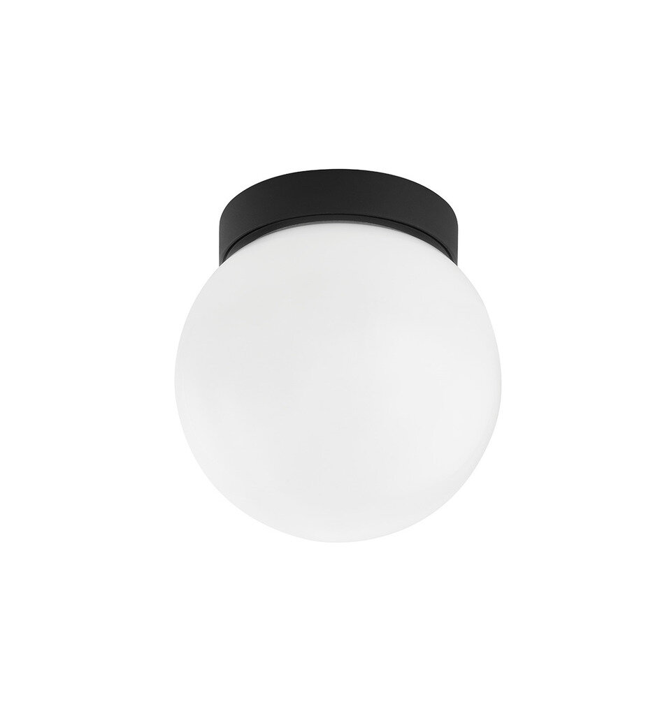Ansel 7" Outdoor Wall Sconce
