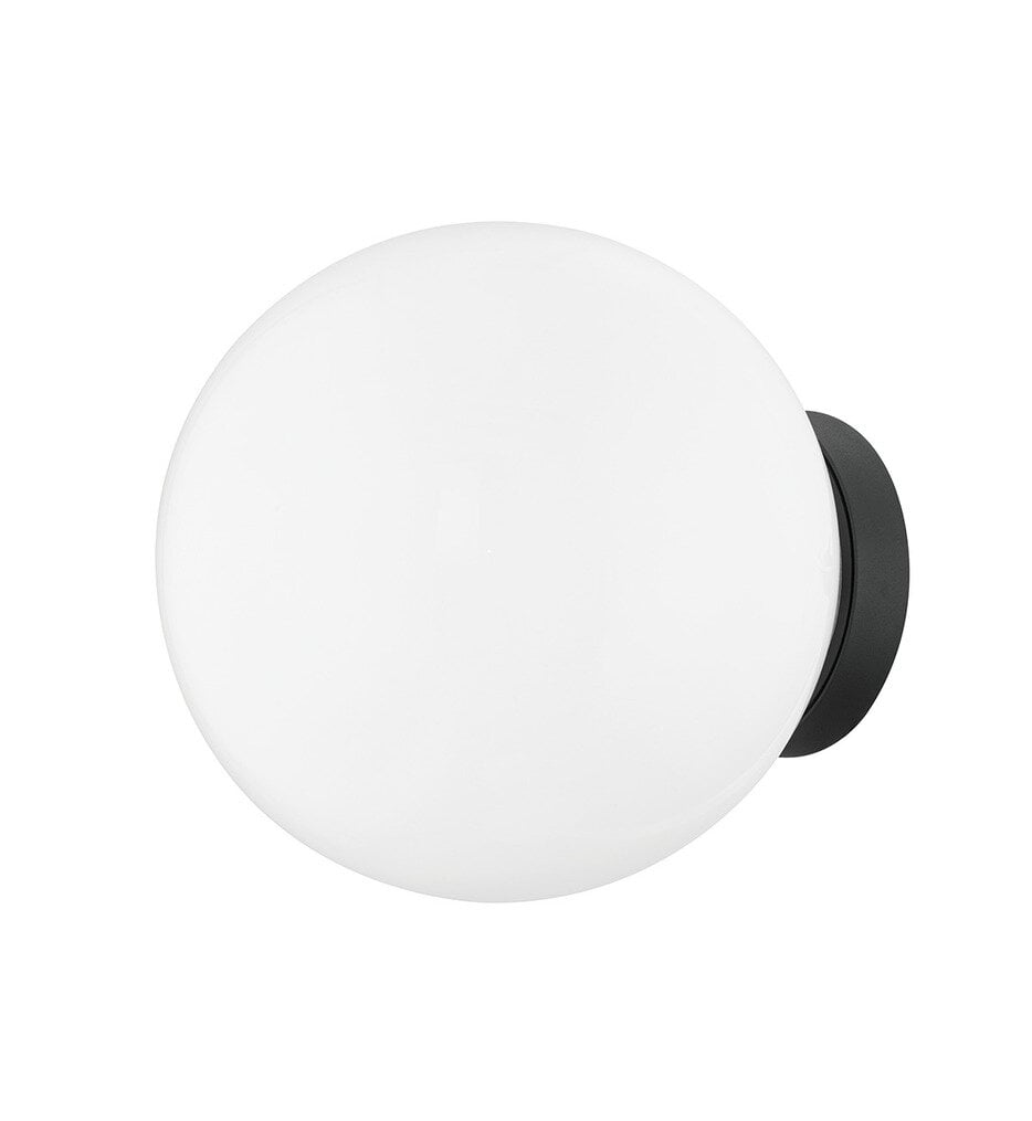 Ansel 10" Outdoor Wall Sconce
