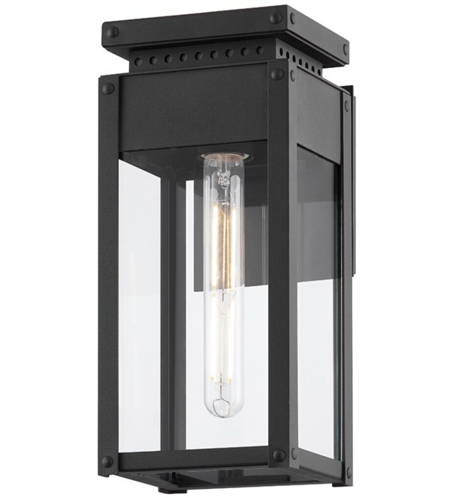 Braydan 13" Outdoor Wall Sconce