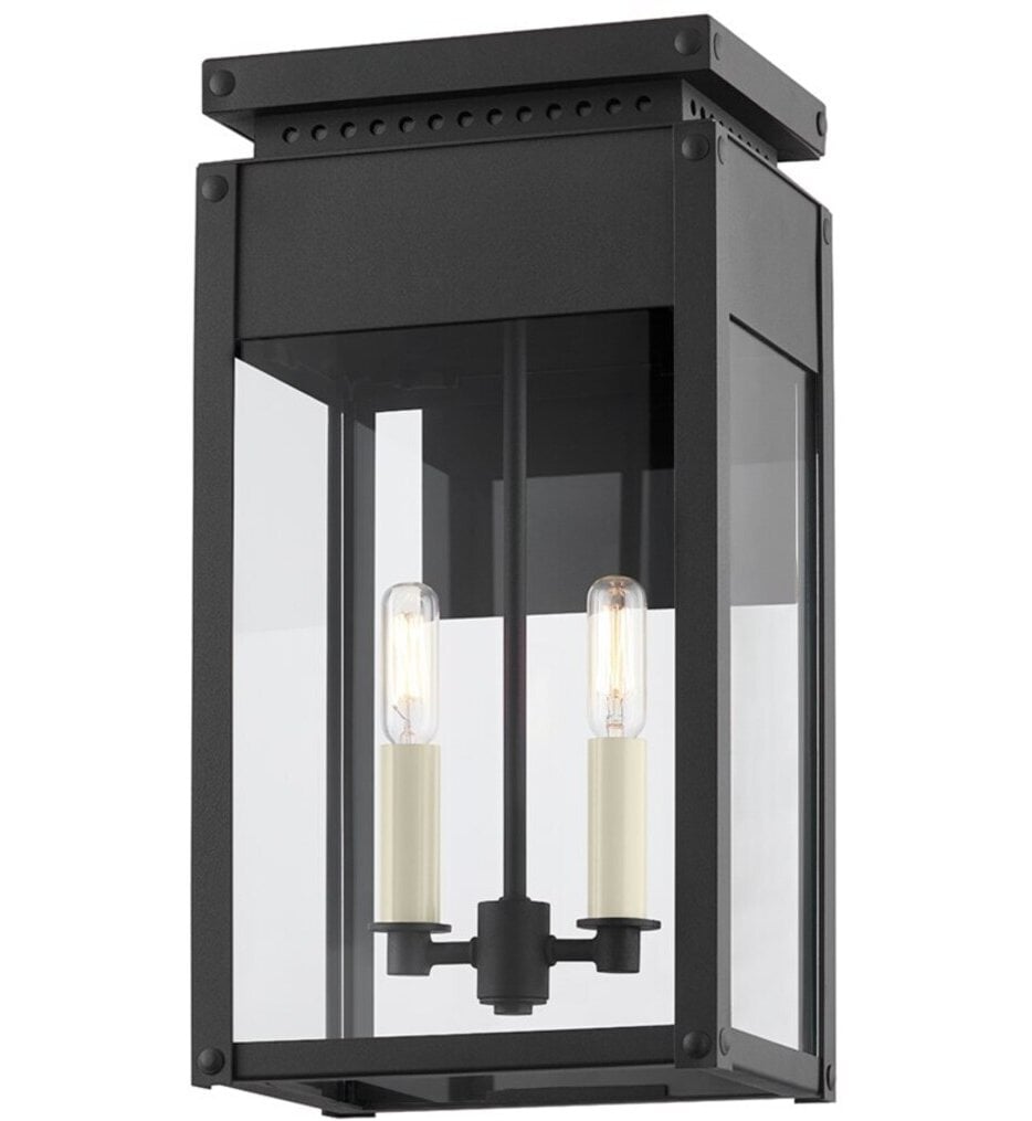 Braydan 17" Outdoor Wall Sconce