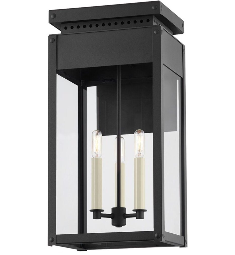 Braydan 22.5" Outdoor Wall Sconce