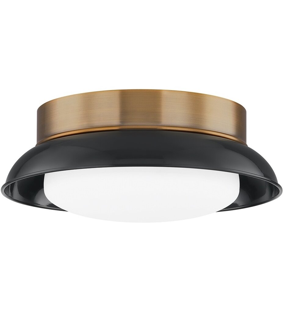 Troy Lighting - Arnie 14.25" Flush Mount