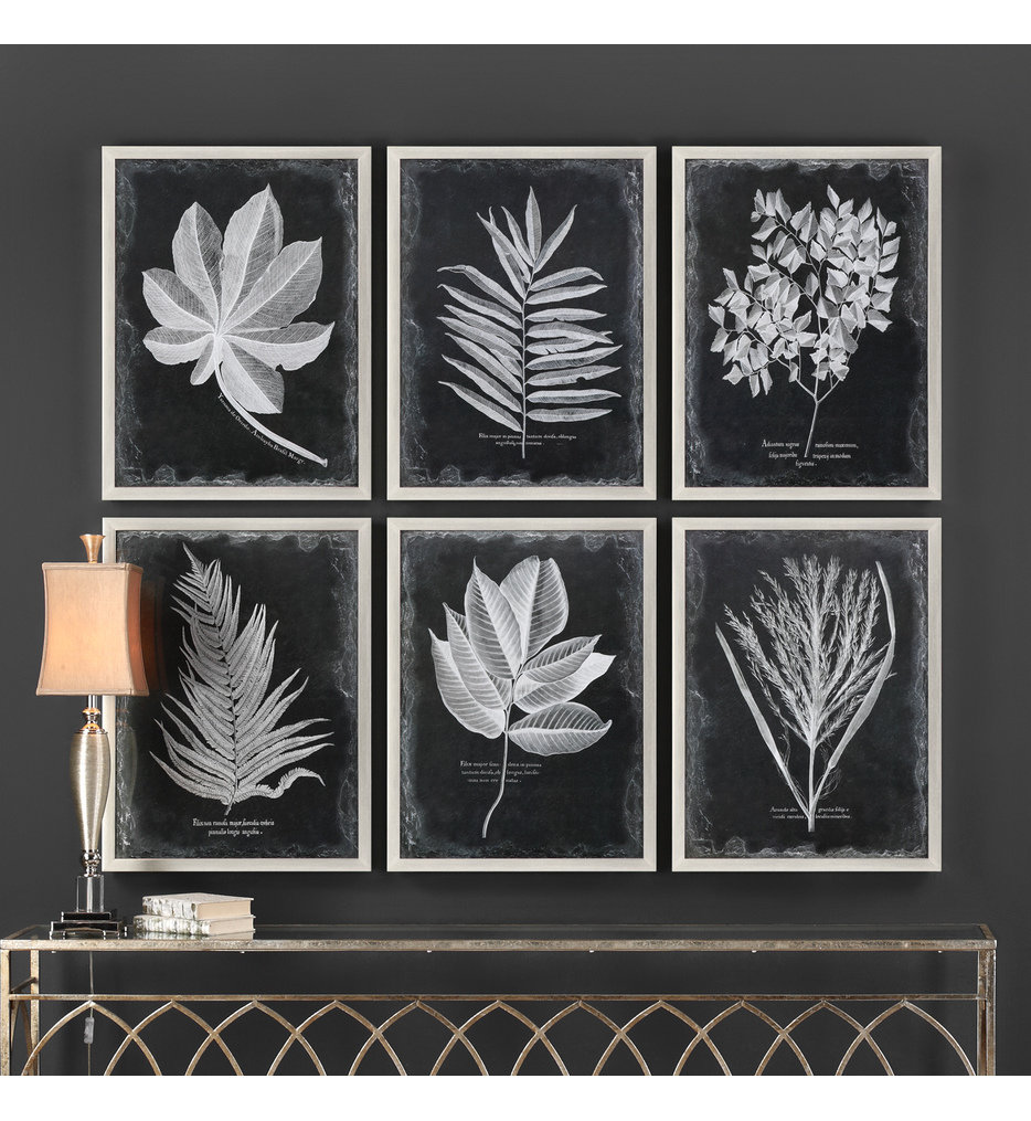 Uttermost 33671 Foliage Framed Prints (Set of 6)