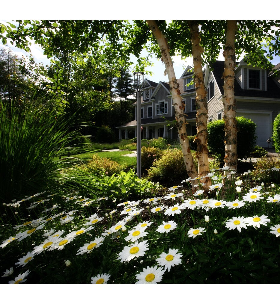 Leland 91.75" Outdoor Post Mount