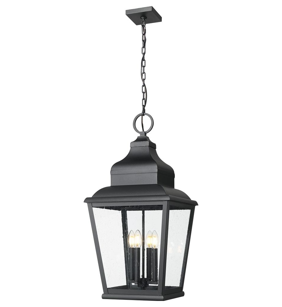 Z-Lite - 5029CHXL-BK - Raphael 14-inch Outdoor Pendant