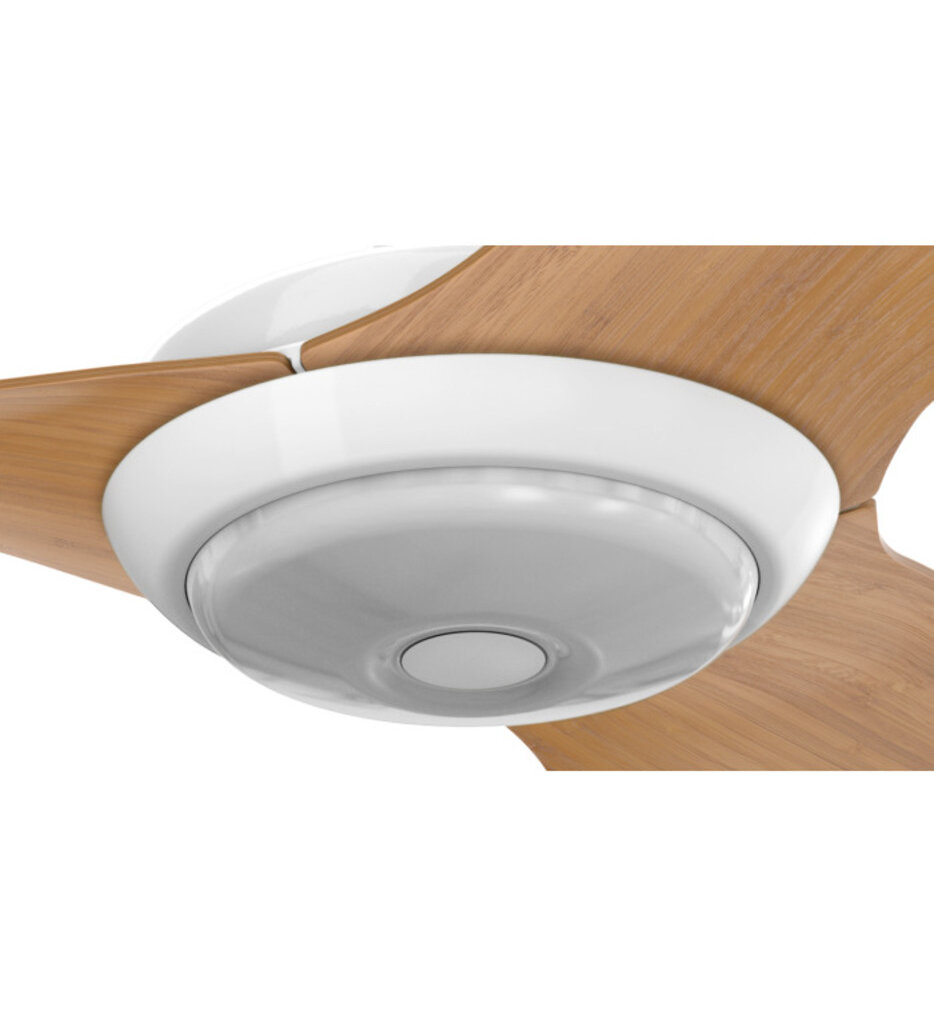 Big Ass Fans - Haiku Downlight