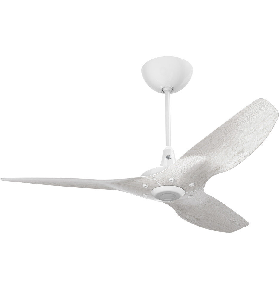 Big Ass Fans - Haiku Ceiling Fan