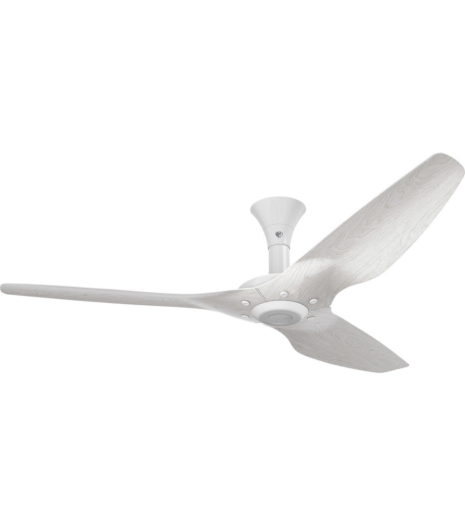 Big Ass Fans - Haiku Flush Mount Fan