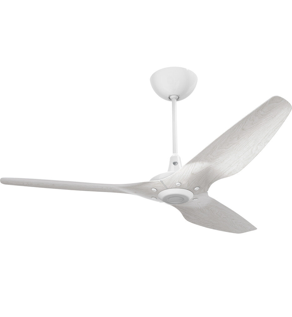 Big Ass Fans - Haiku Ceiling Fan