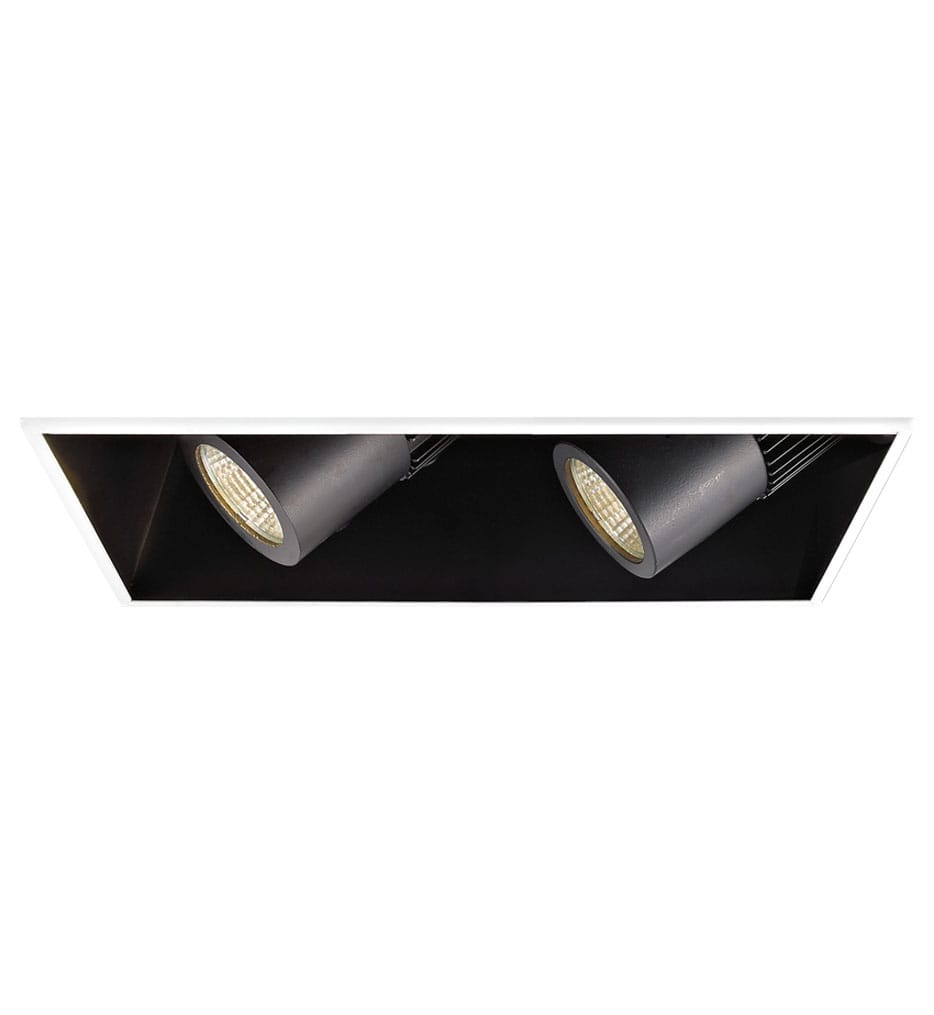 WAC Lighting - Flood Beam ELV Dim IC-Rated Volt 2 Light LED Precision Housing & Module