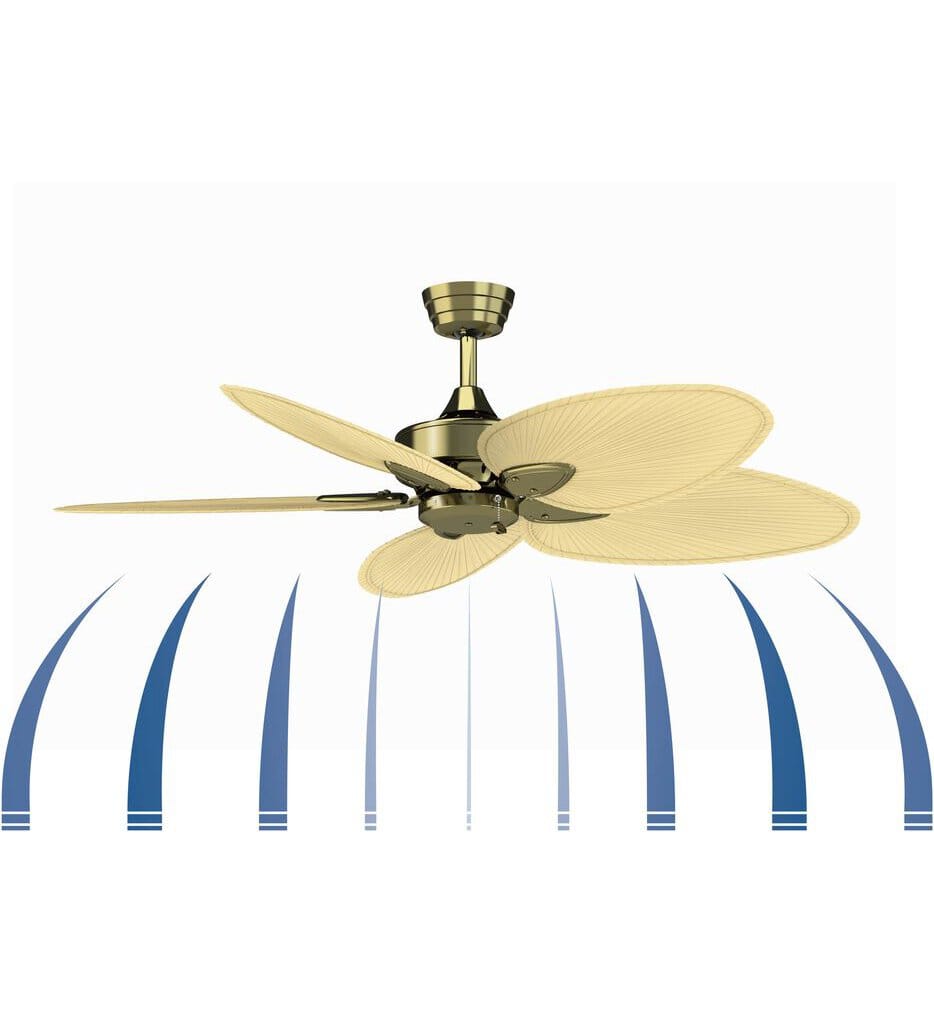 Fanimation - FP7500RS - Windpointe 52" Ceiling Fan