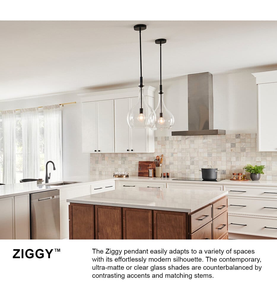 Hinkley Lighting - Ziggy 12" Pendant