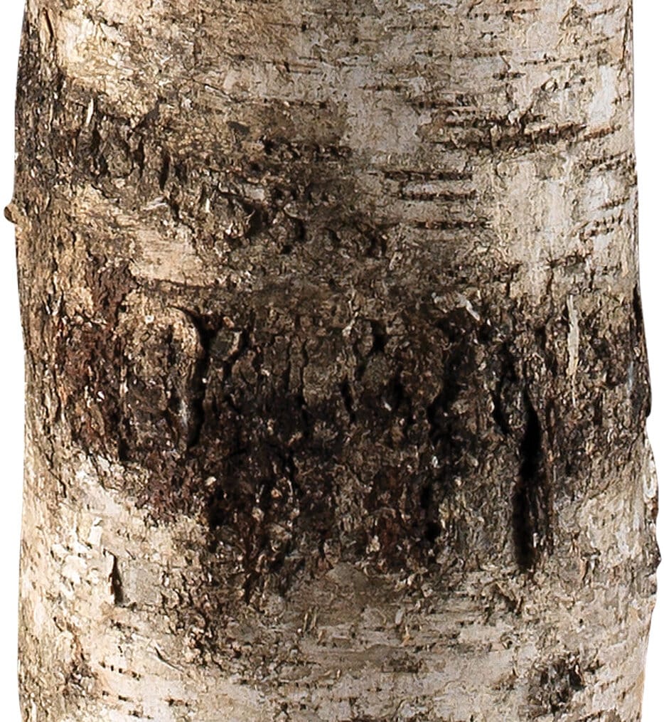 Jamie Young - 1FORR-FLBI - Forrester 68.5" Floor Lamp