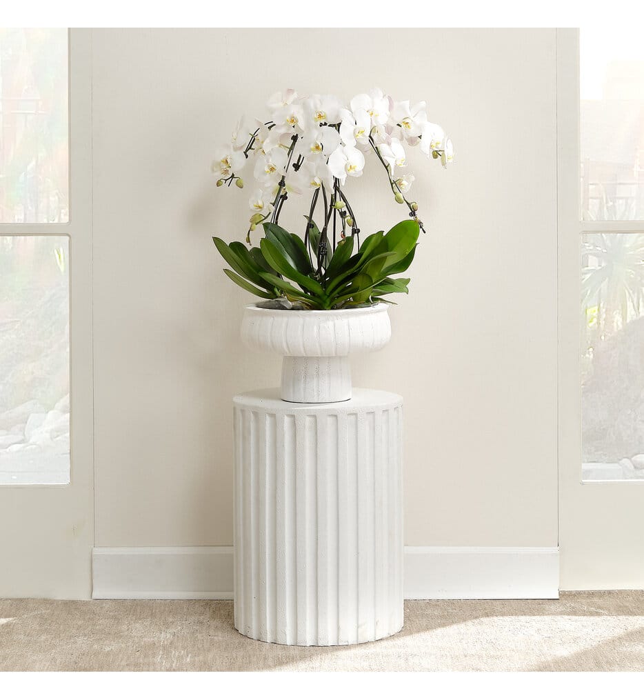 Jamie Young - Fluted 22" Side Table