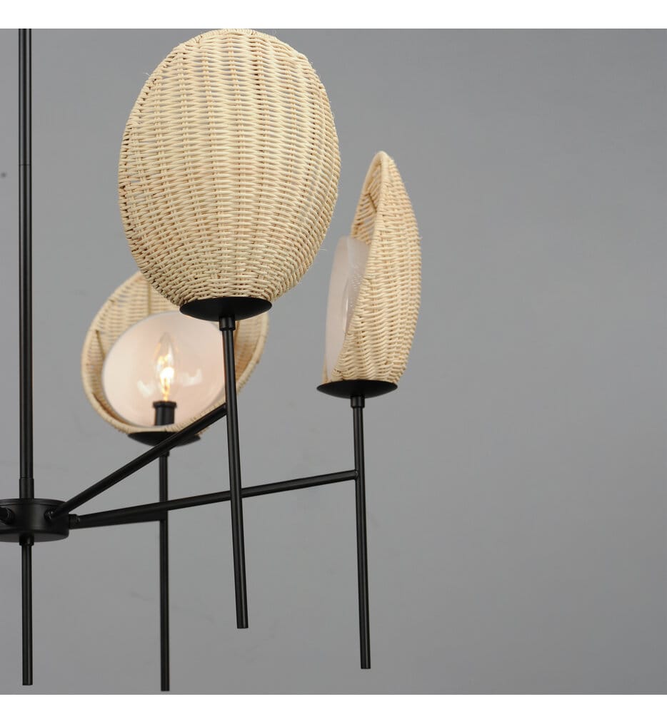 Maxim Lighting - 12606NABK - Maldives 32" Chandelier
