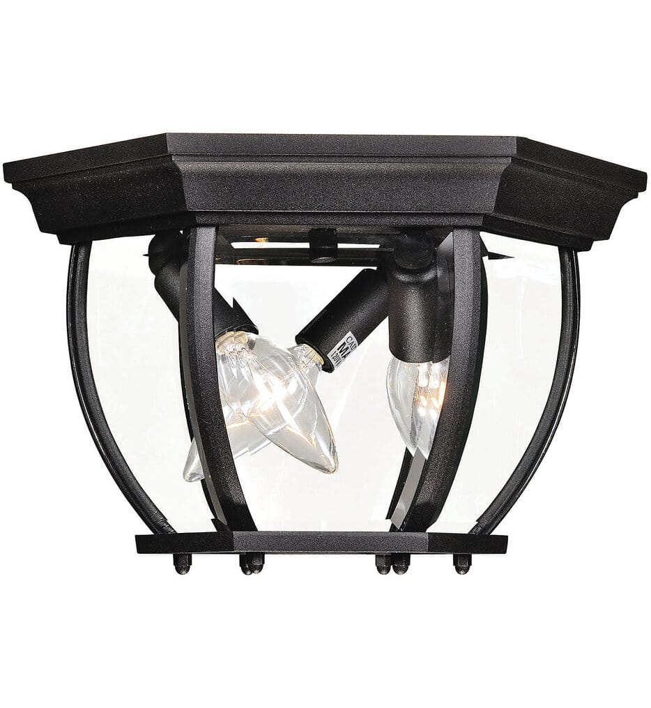 Meridian - M50059BK - Meridian 9" Outdoor Flush Mount