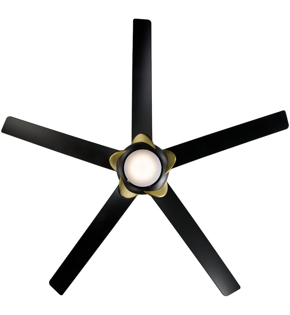 Modern Forms - Lucid Ceiling Fan