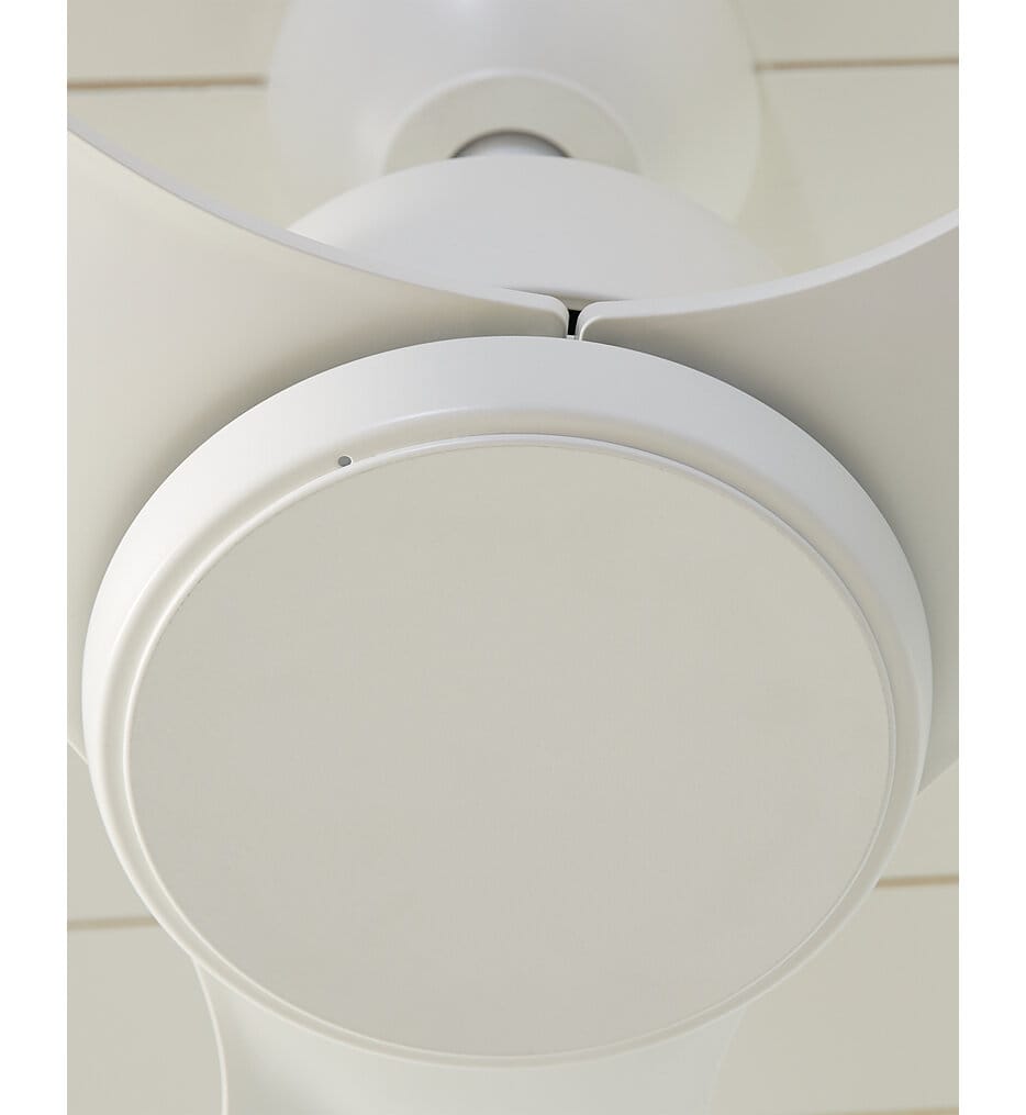 Visual Comfort Fan - Avila Ceiling Fan
