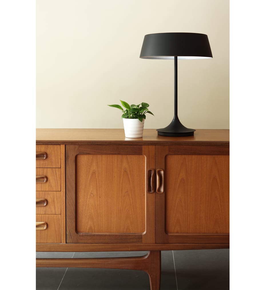 Seed Design - SQ-6350MDJ-1-BK - China 19.7" Table Lamp