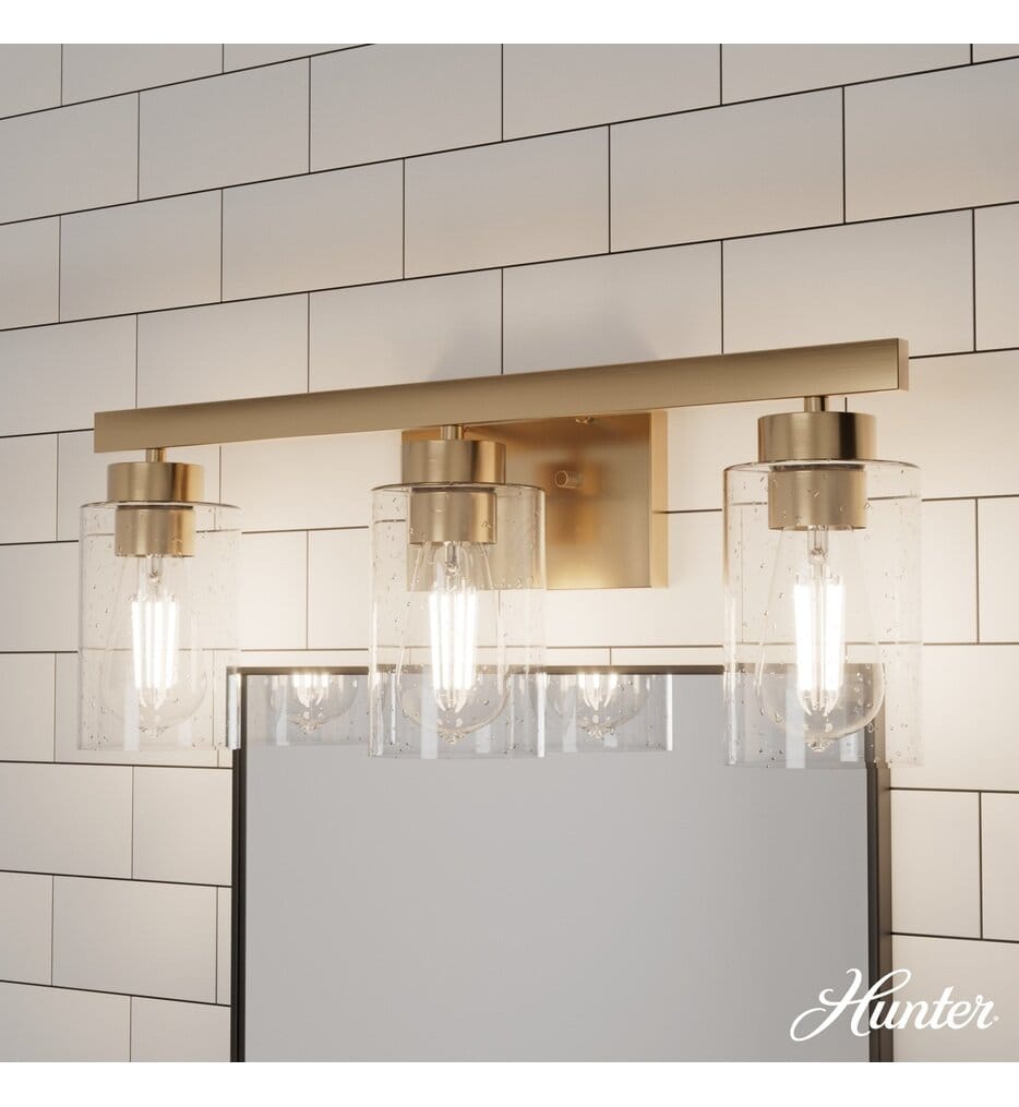 Hunter - Hartland 22" Bath Vanity Light