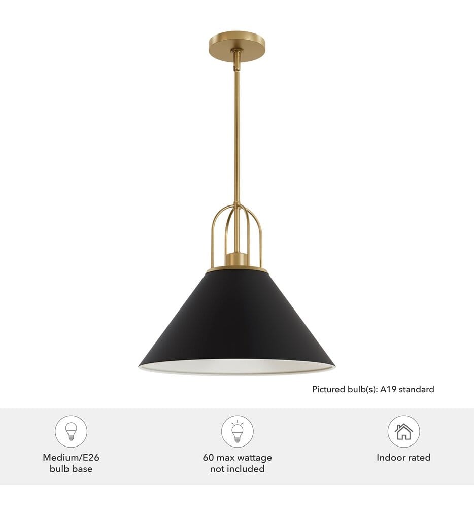 Hunter - 13165 - Carrington Isle 16.25" Pendant