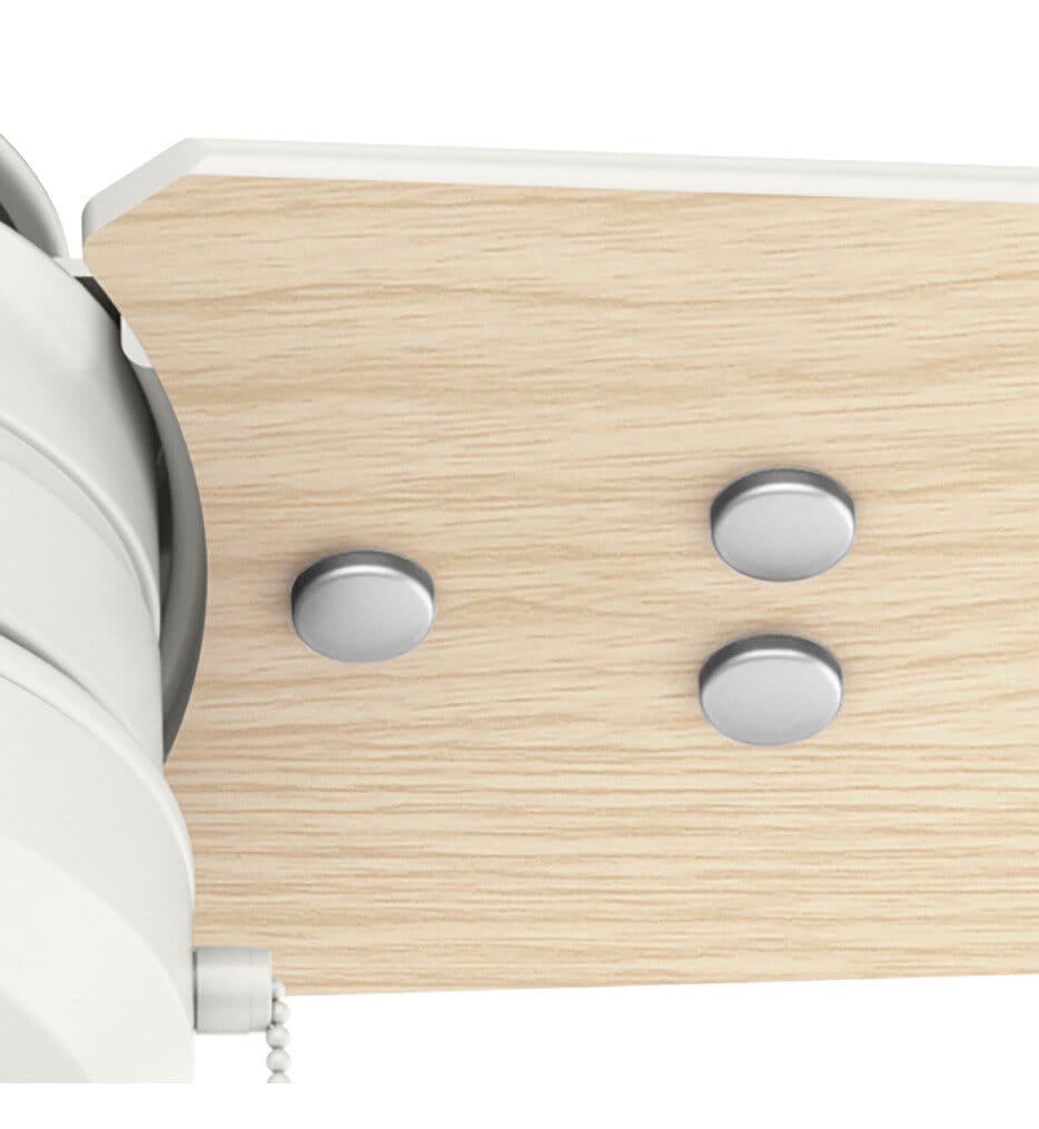 Hunter - Cassius Ceiling Fan
