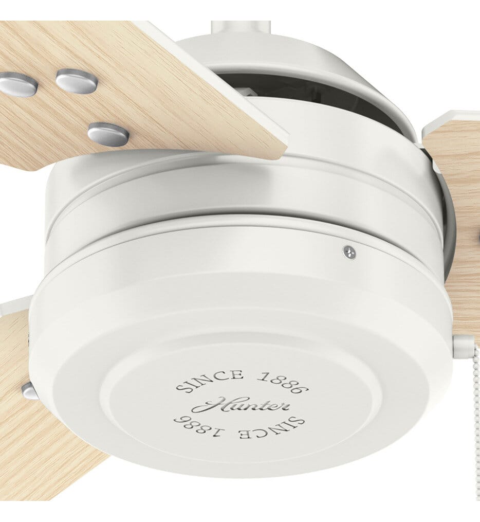 Hunter - Cassius Ceiling Fan
