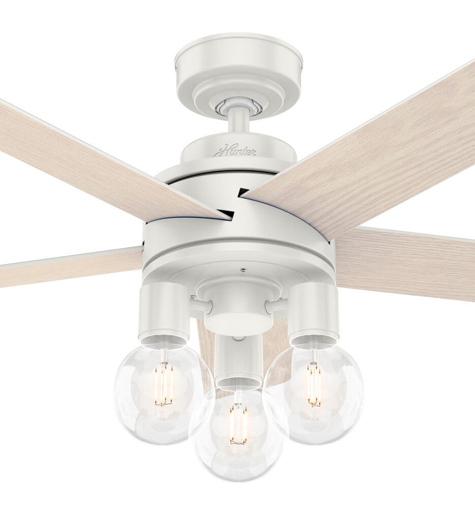 Hunter - Hardwick Ceiling Fan