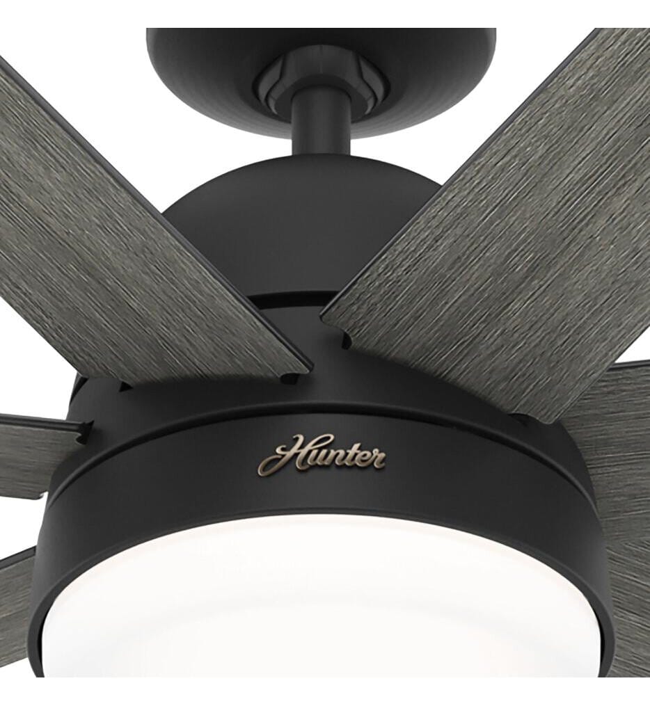 Hunter - Phenomenon Ceiling Fan