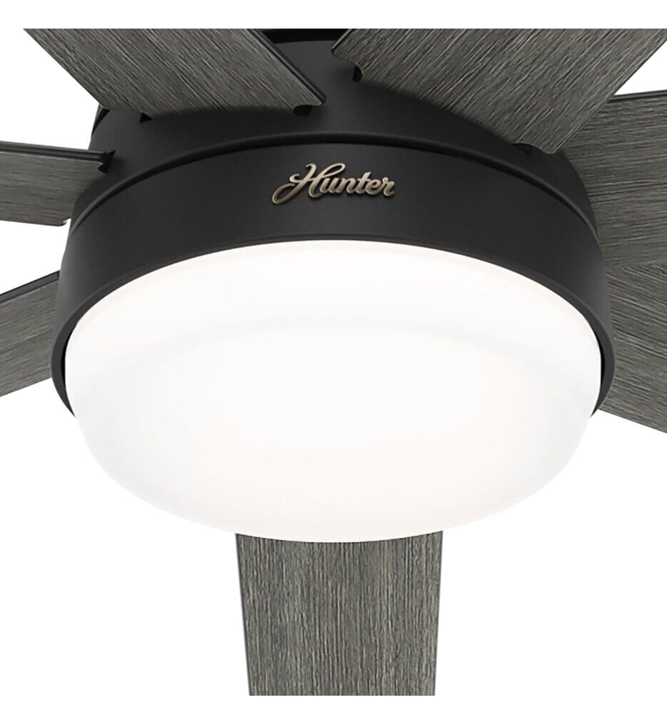 Hunter - Phenomenon Ceiling Fan