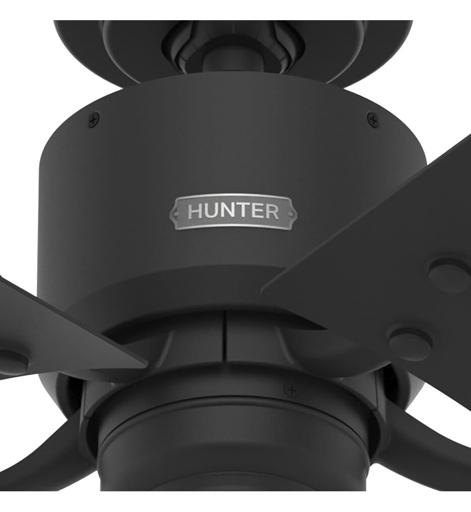 Hunter - Windbound Ceiling Fan