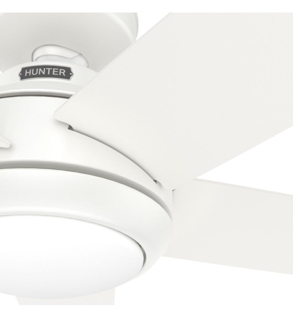 Hunter - Zayden Ceiling Fan