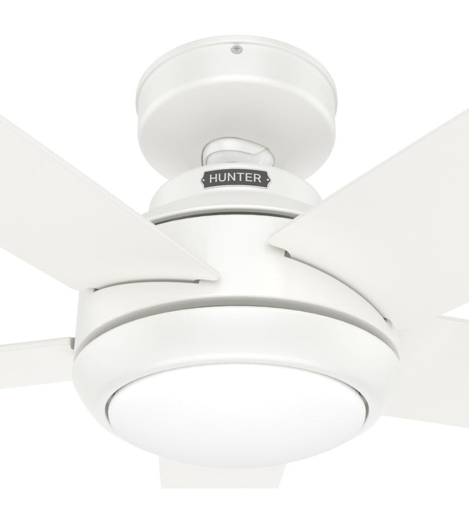 Hunter - Zayden Ceiling Fan