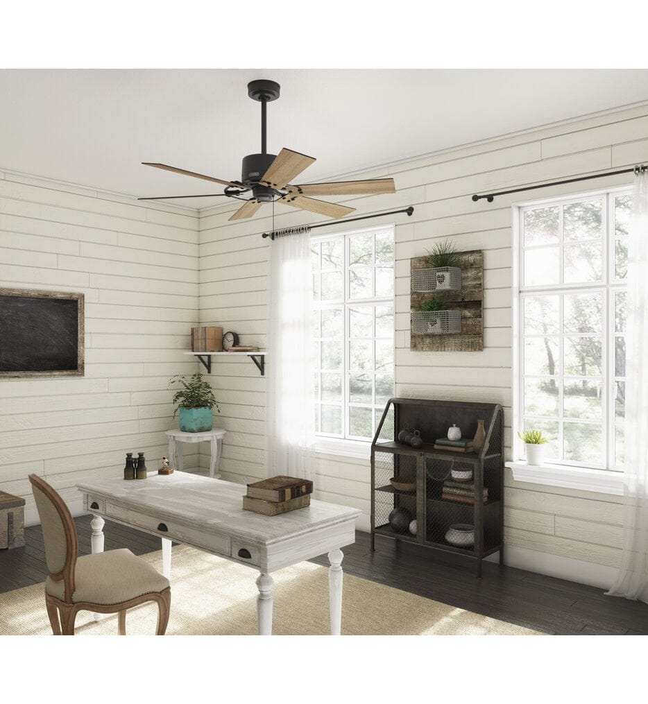 Hunter - Gilrock Ceiling Fan