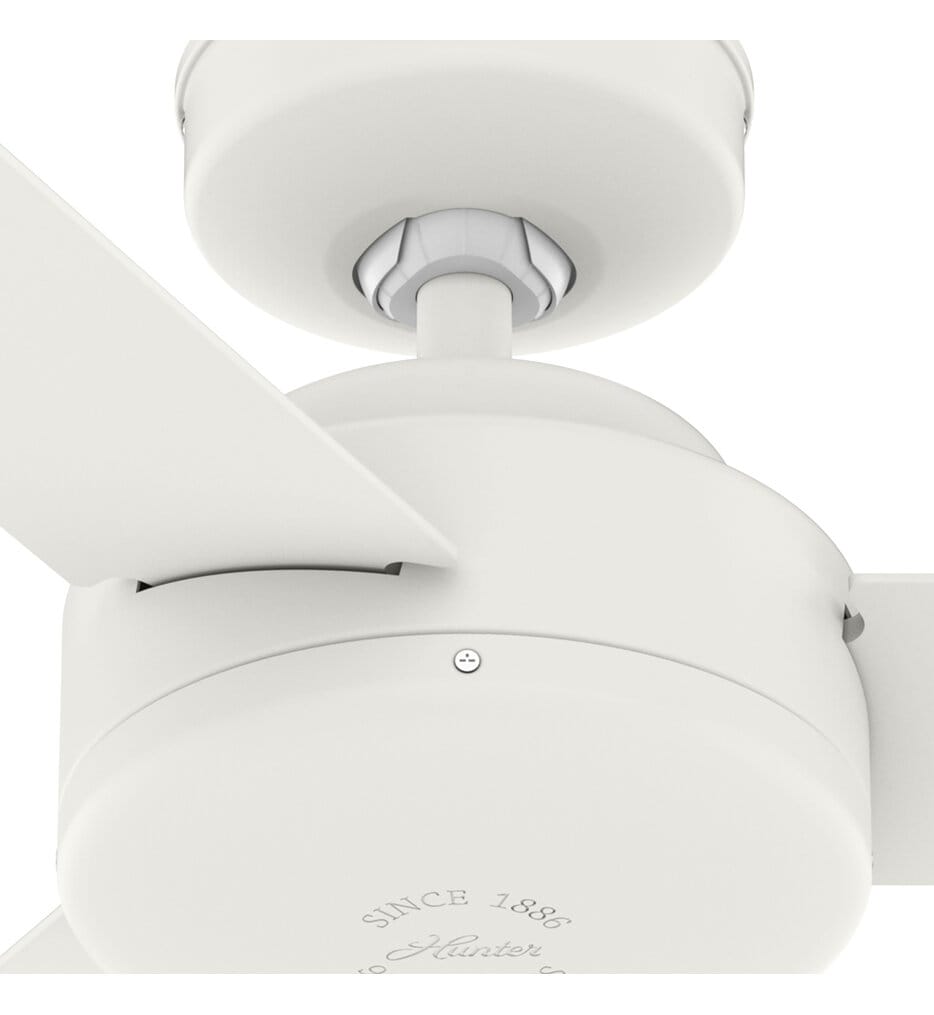 Hunter - Presto Ceiling Fan
