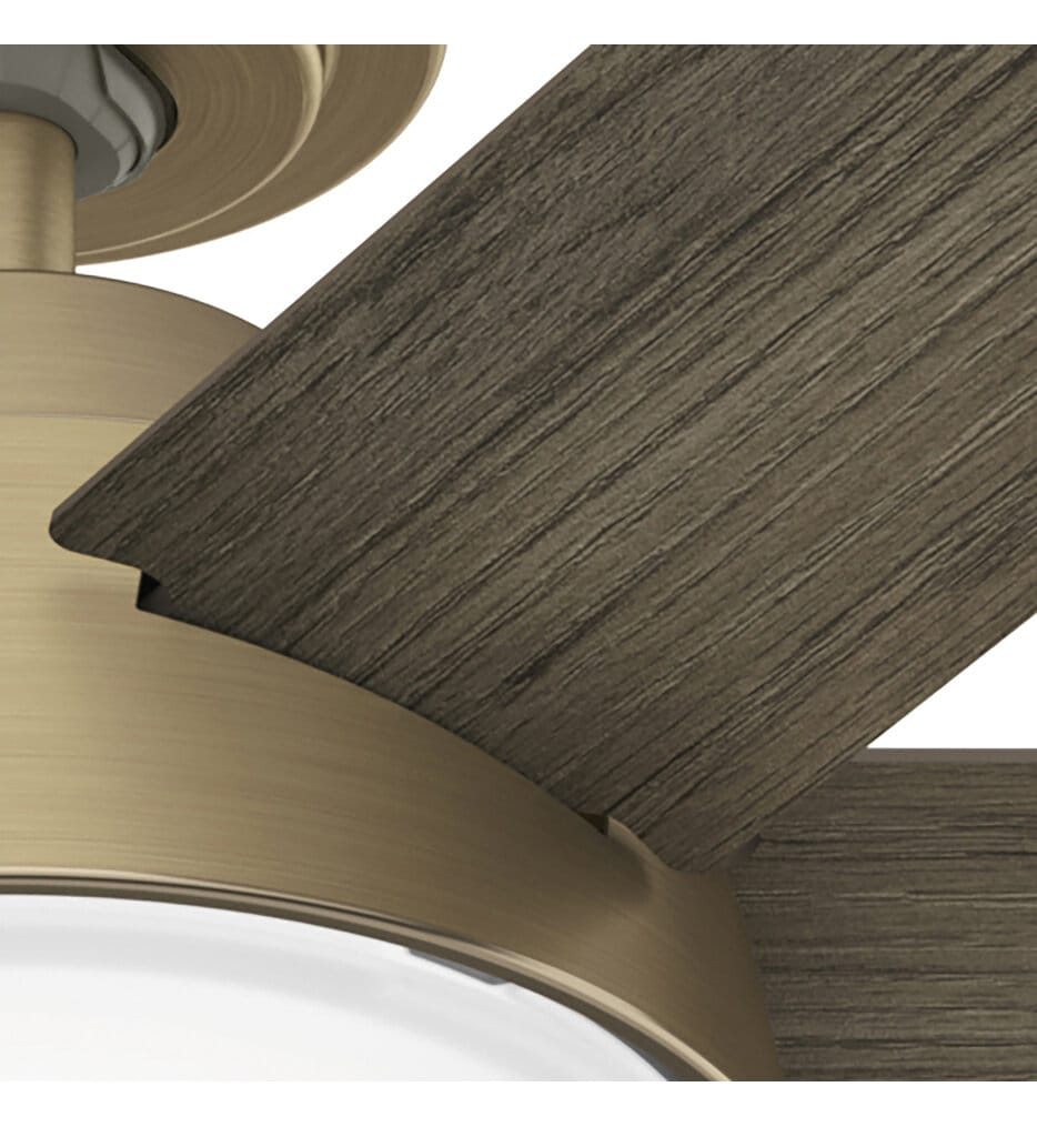 Hunter - Donatella Ceiling Fan
