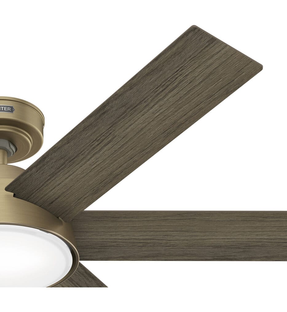 Hunter - Donatella Ceiling Fan