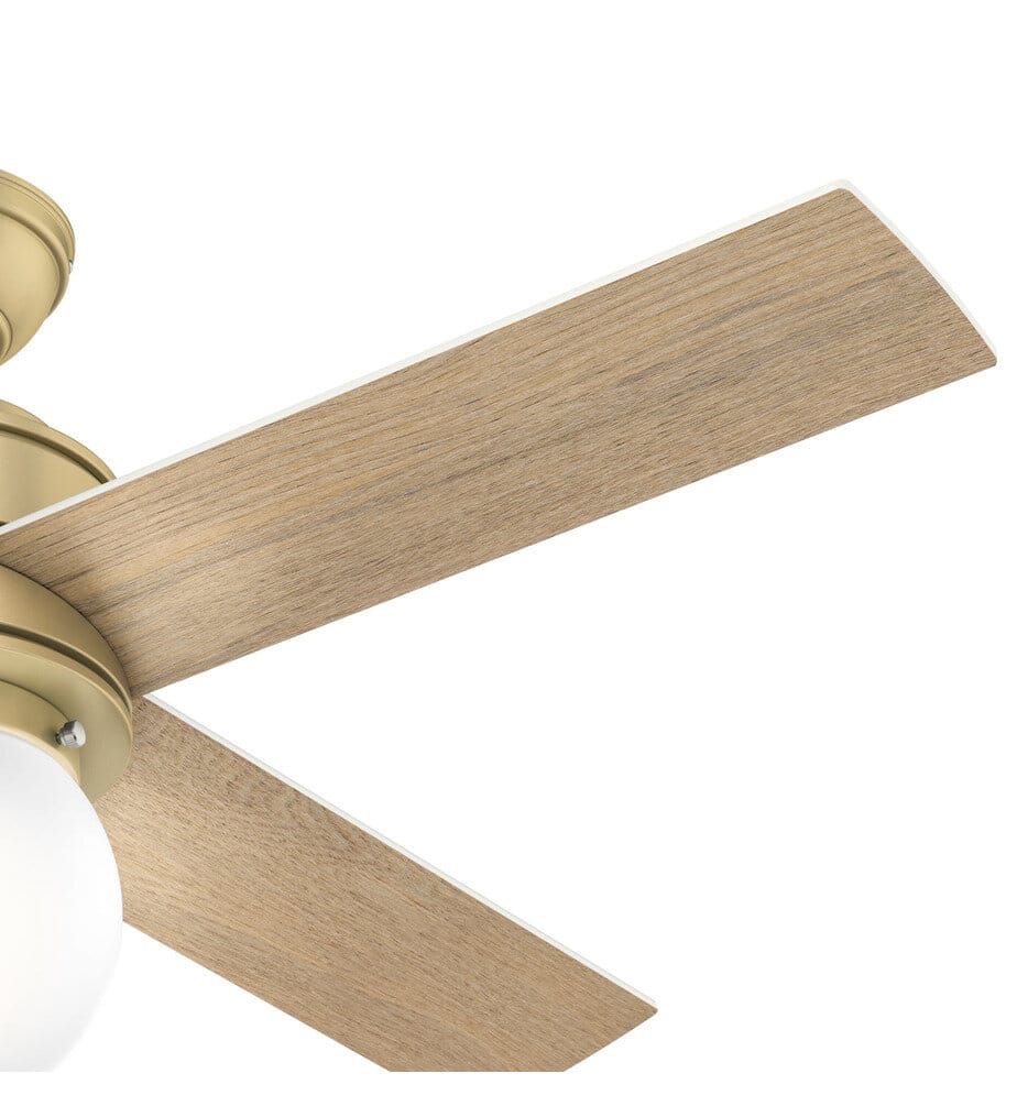 Hunter - Hepburn Ceiling Fan