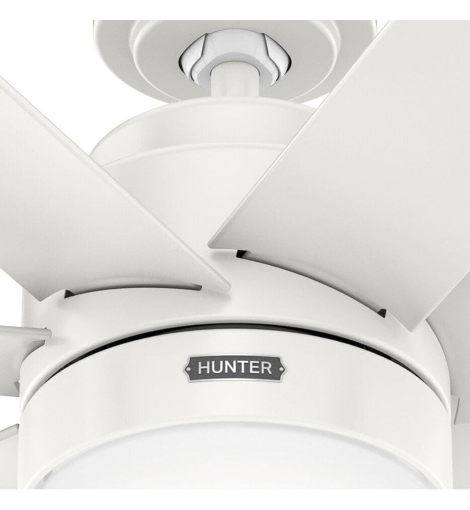 Hunter - Brazos 52" Ceiling Fan