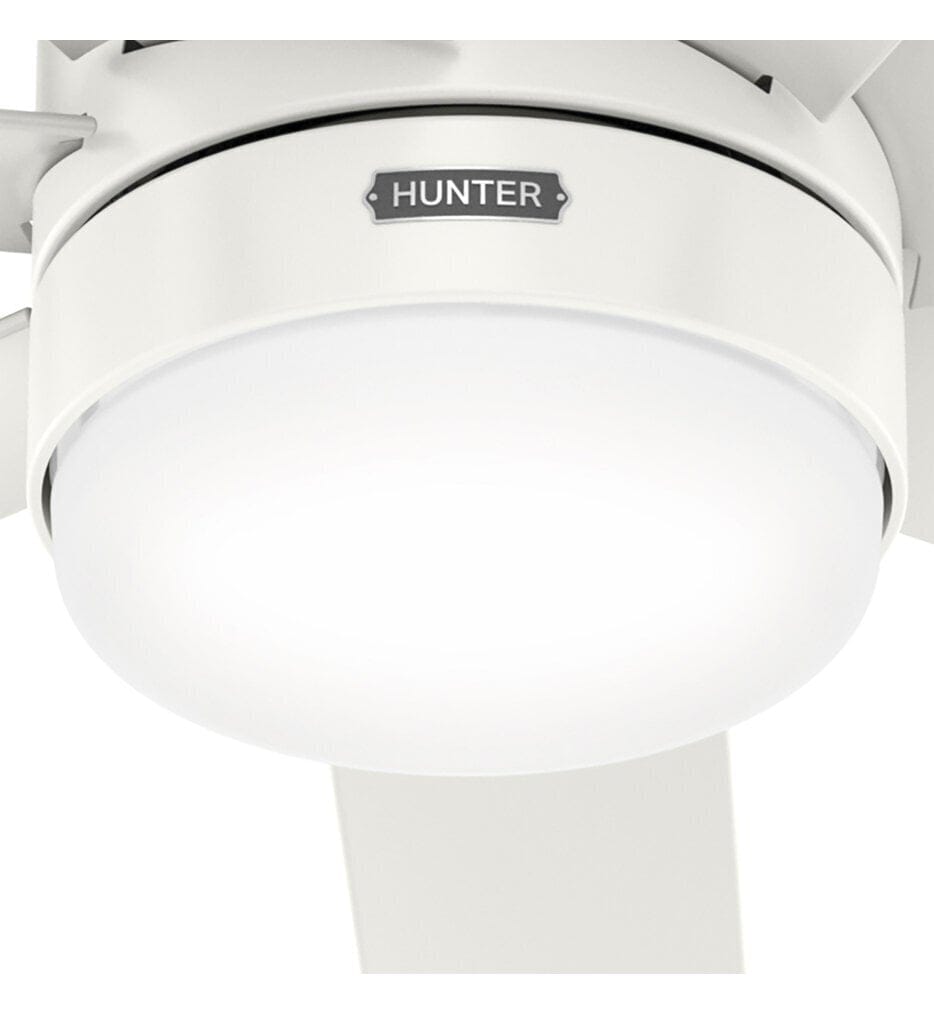 Hunter - Brazos 52" Ceiling Fan