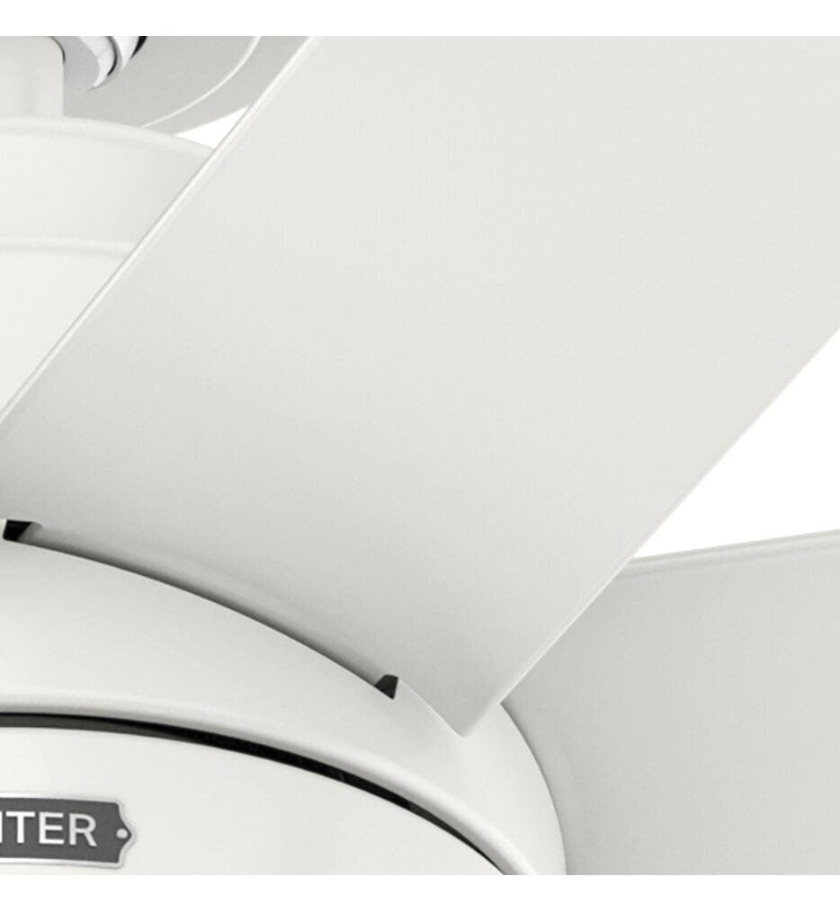 Hunter - Brazos 52" Ceiling Fan