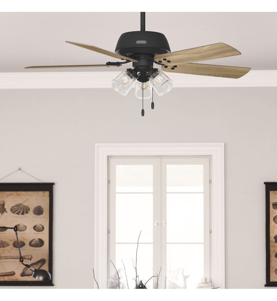 Hunter - Shady Grove Ceiling Fan