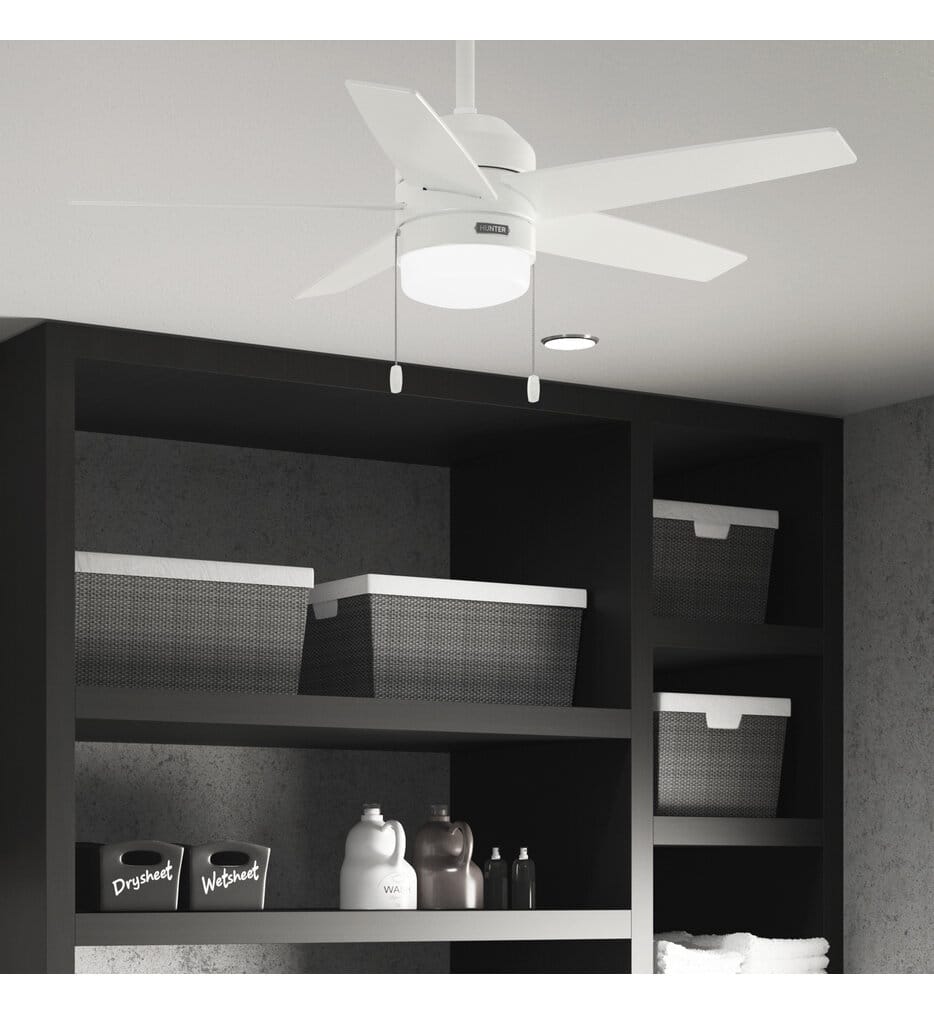 Hunter - Bardot Ceiling Fan